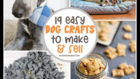 10 DIY έμφαση για κατοικίδια για τον δημιουργικό ιδιοκτήτη κατοικίδιων ζώων 6 Αξεσουάρ DIY για λάτρεις των κατοικίδιων: Χειροποίητοι θησαυροί για γούνινους φίλους