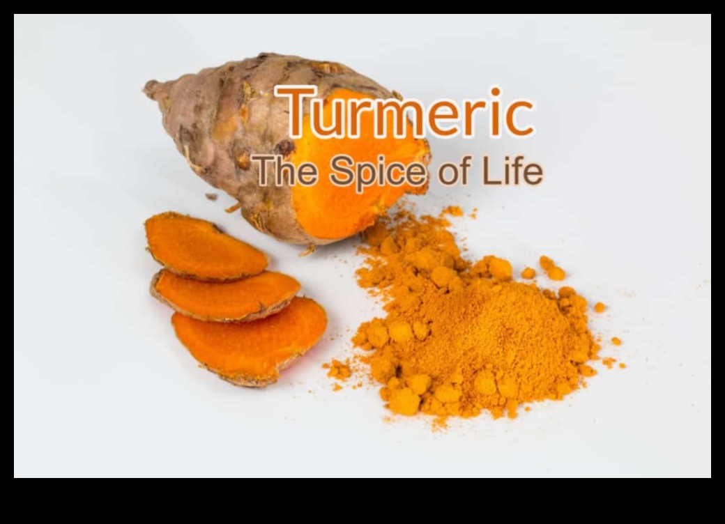 Spice of Life: Exploring the World of Turmeric Elixir Blends