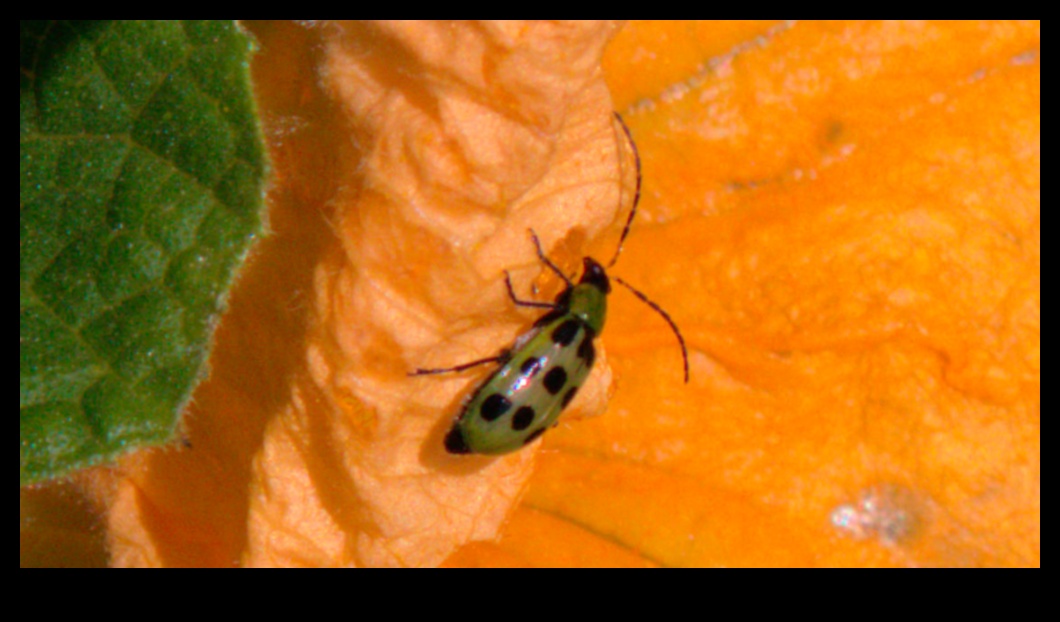 Battles in Bloom: Tackling Troublesome Garden Pests