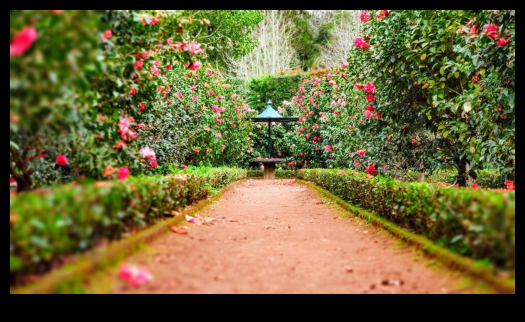 Nature's Palette: Ανυψώστε τον κήπο σας με καλλιτεχνική έκφραση