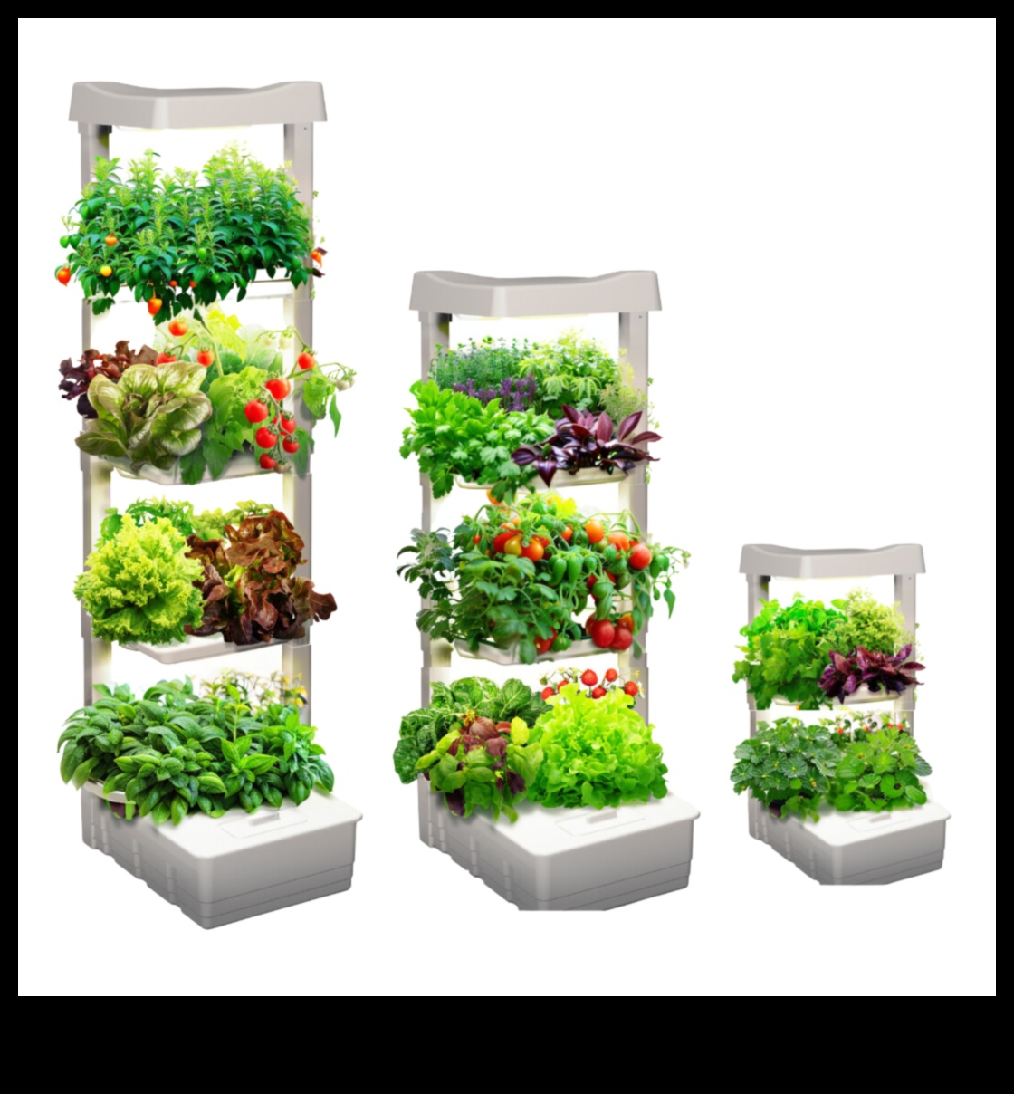Indoor Eden: Growing Your Garden Beyond the Exterior Walls