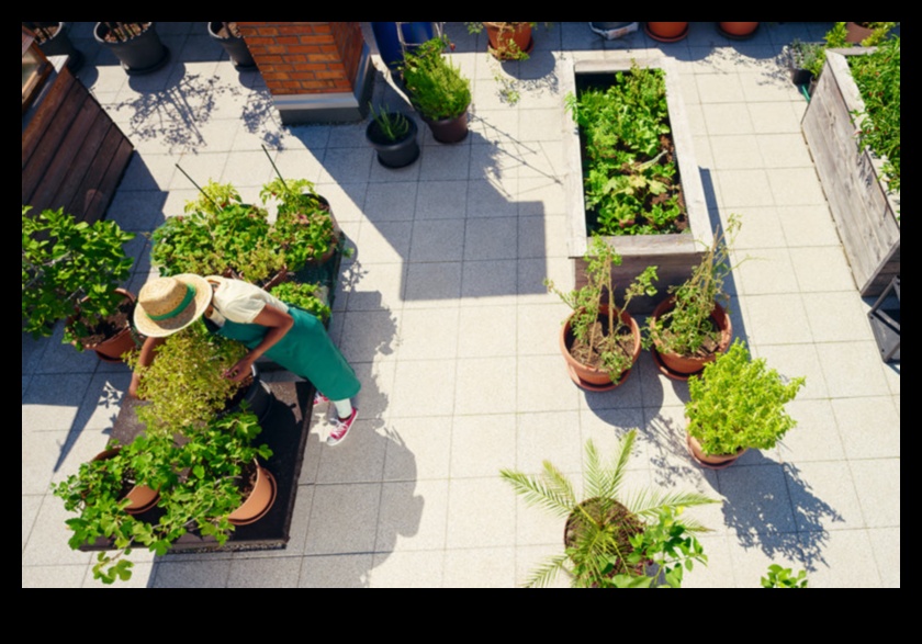Πράσινο σε μέγεθος τσέπης: Η χαρά της εσωτερικής κηπουρικής