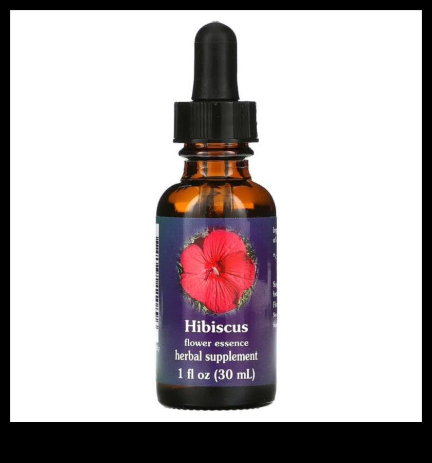 Έγχυμα λουλουδιών: Αιχμαλωτίζοντας την ουσία του φρέσκου τσαγιού ιβίσκου