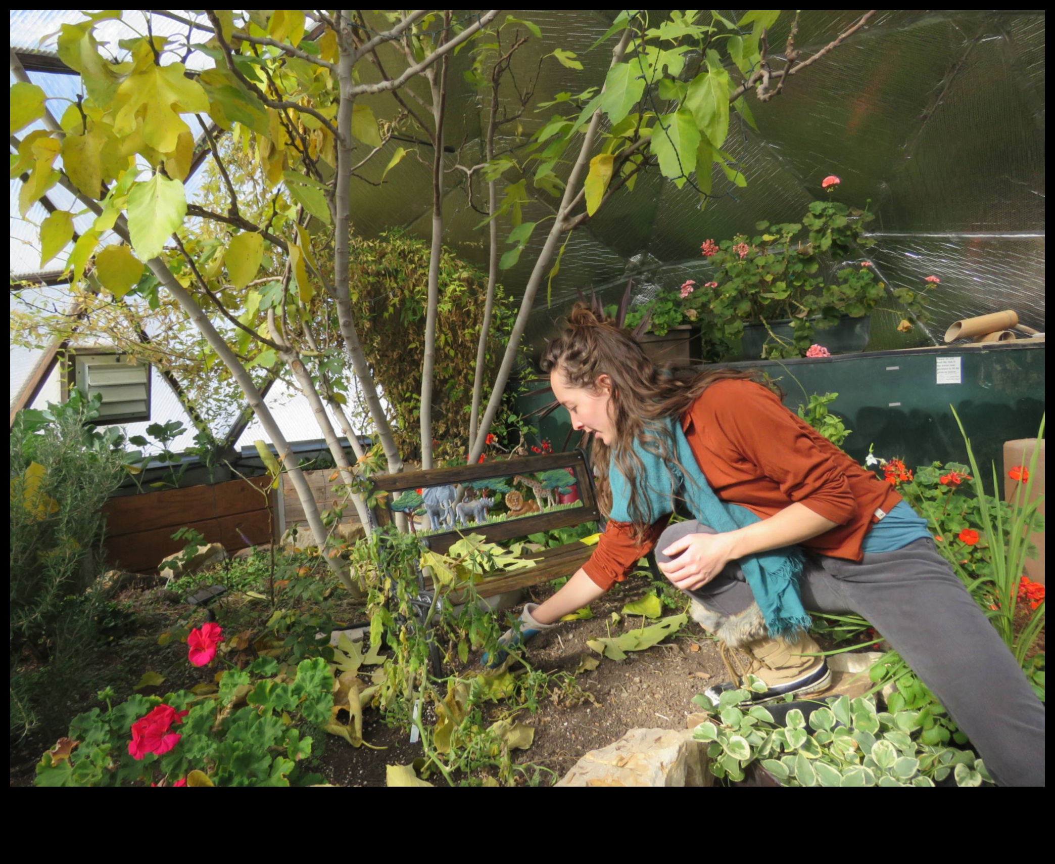 Αναπνεύστε τη ζωή στο χώρο σας: Η εμπειρία του θερμοκηπίου