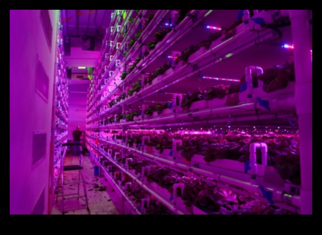 Infinite Harvest: Greenhouse Bounty Beckons