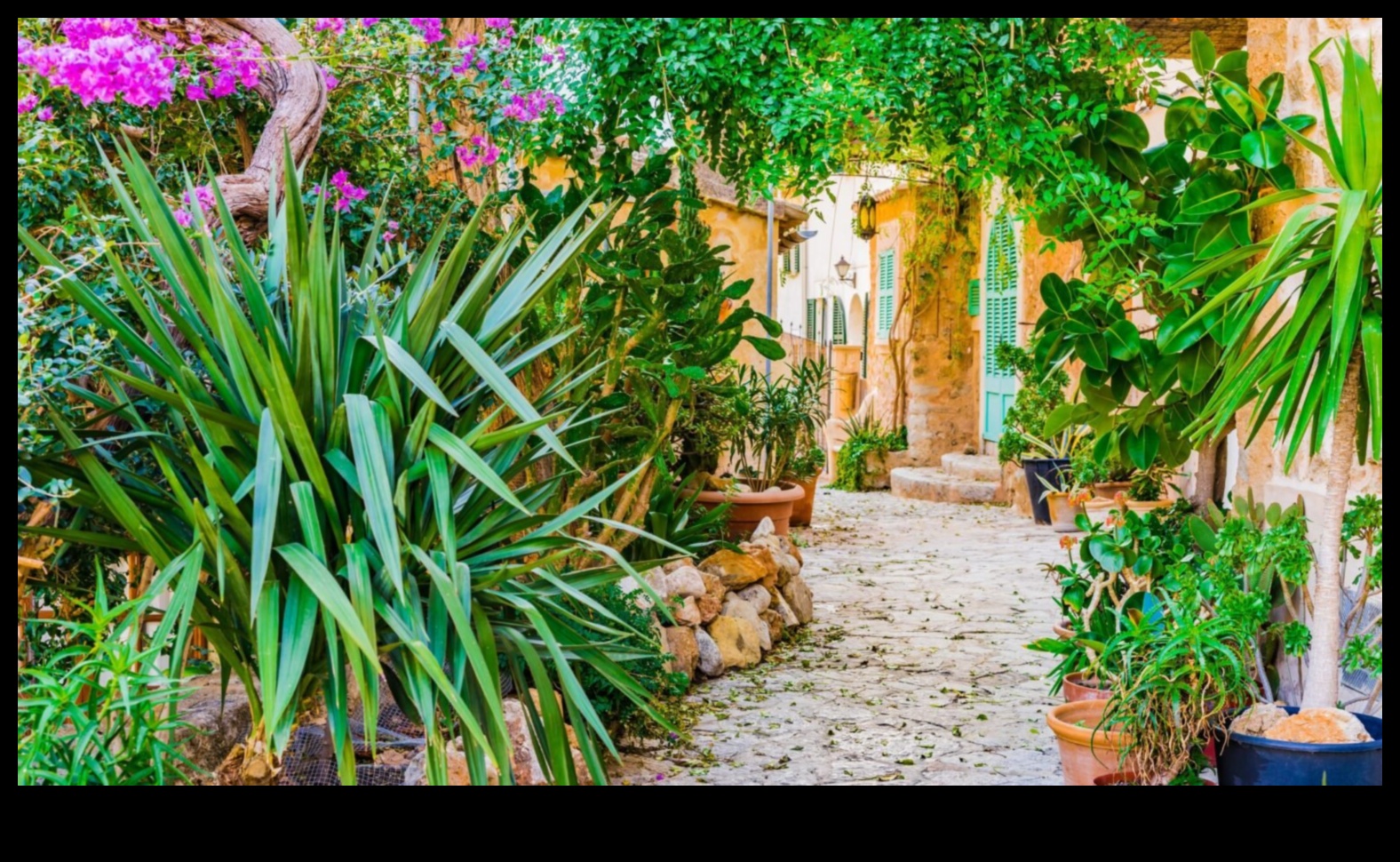 Γοητεία σε κάθε πέταλο Ανυψώστε τον κήπο σας με καλλιτεχνική αίσθηση 3 Γοητεία σε κάθε πέταλο: Ανυψώστε τον κήπο σας με καλλιτεχνικό ταλέντο