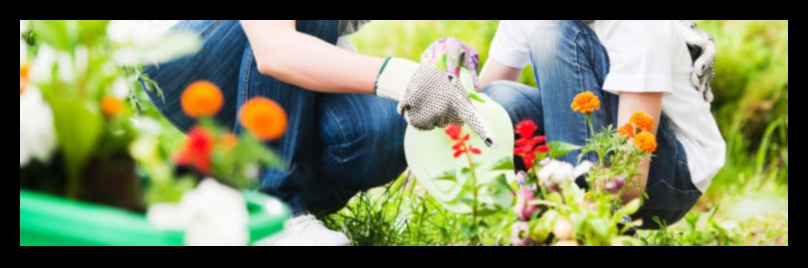 Αναπνεύστε ζωή στο τοπίο σας: Ανακαλύψτε το Artful Garden Bliss