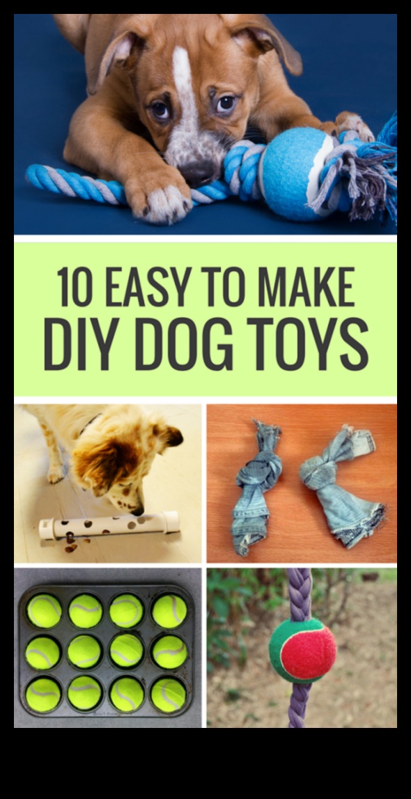 Αξεσουάρ DIY για λάτρεις των κατοικίδιων: Χειροποίητοι θησαυροί για γούνινους φίλους