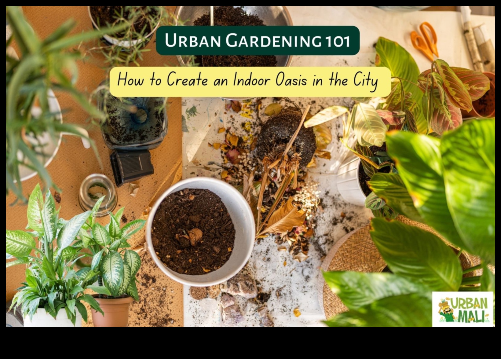 Αποκαλύφθηκε η Urban Oasis: Gardening Magic in the City