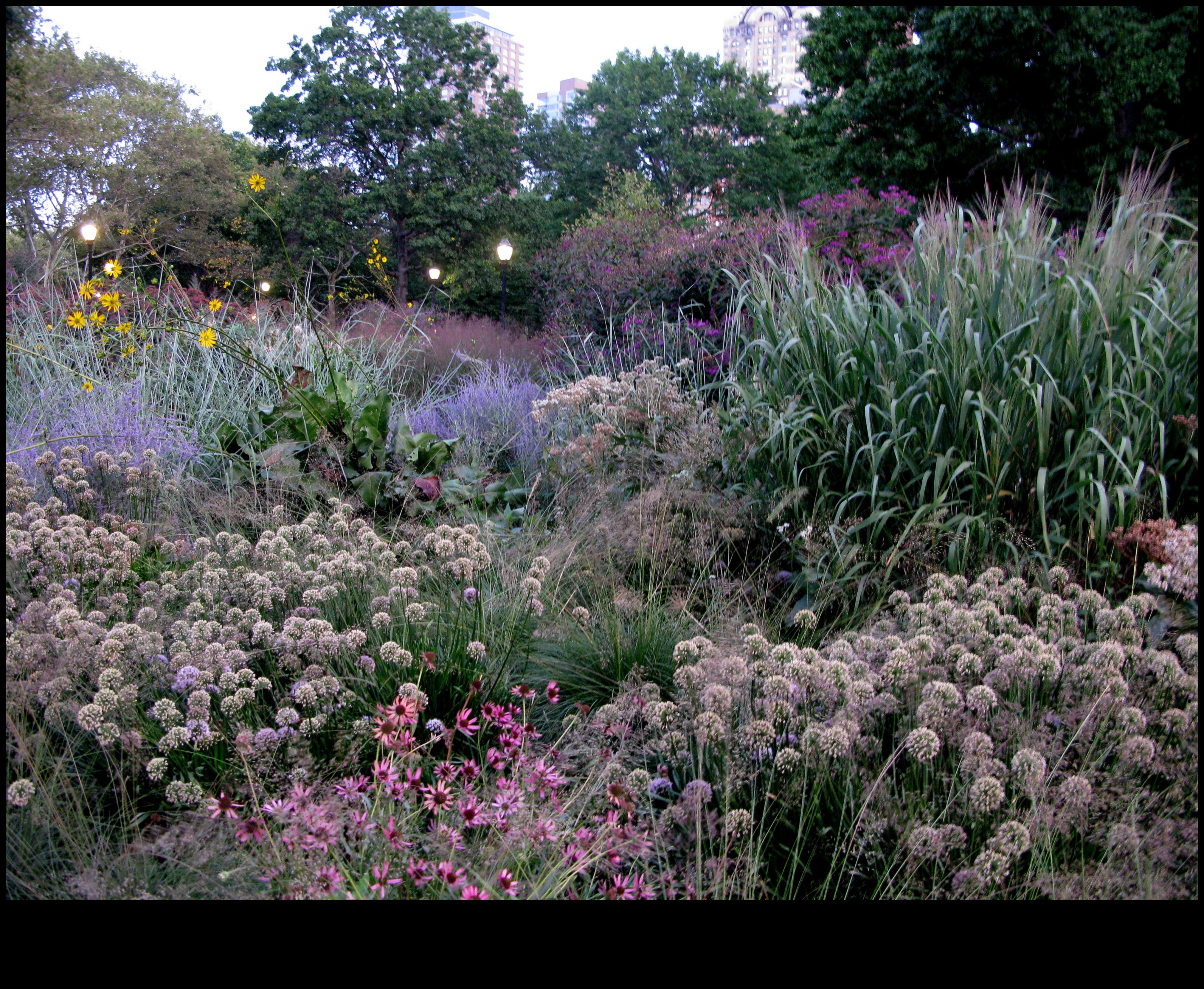 Garden Warriors Πώς να αναπτύξετε ένα καταφύγιο ανθεκτικό στα παράσιτα 3 Garden Warriors: Tactics for a Pest Resistant Sanctuary