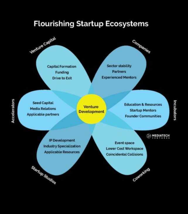 The Startup Pulse: Beating Heart of Entrepreneurship