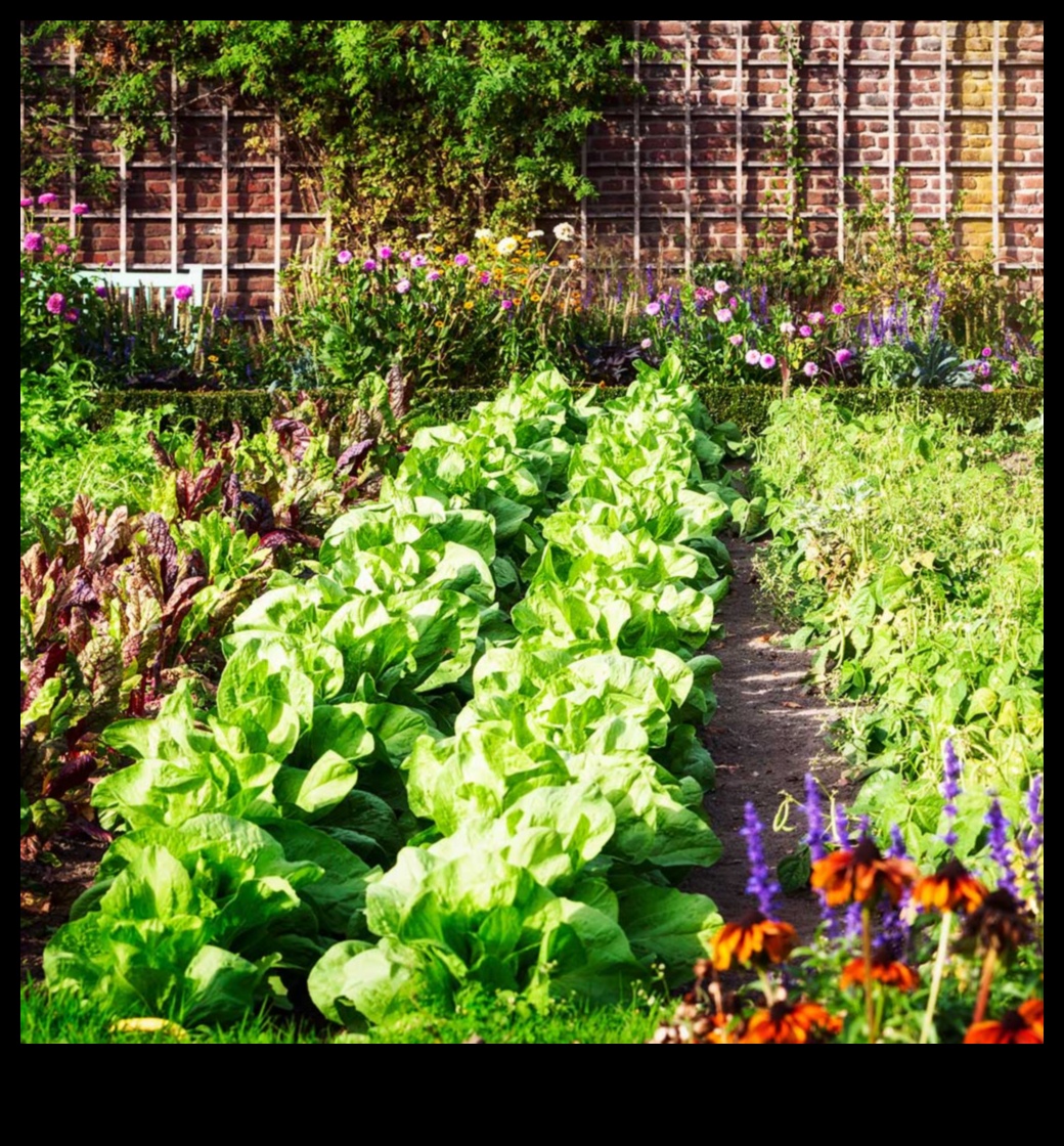 Buddy Blooms: Βελτιώστε τον κήπο σας με το Companion Planting