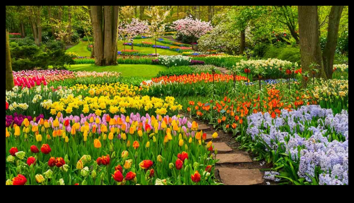 Buddy Blooms: Βελτιώστε τον κήπο σας με το Companion Planting