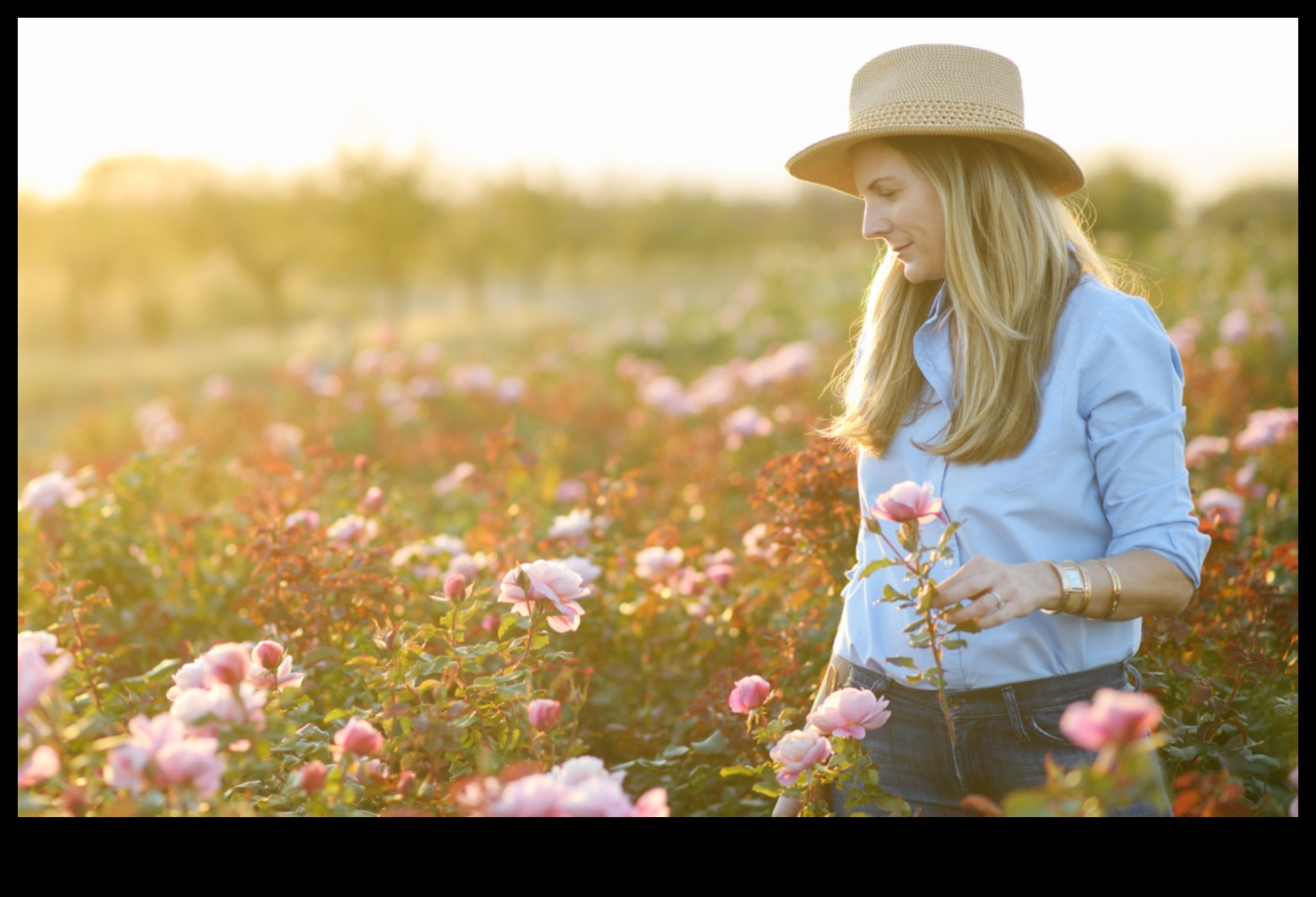 Floral Finesse: Mastering the Art of Horticulture