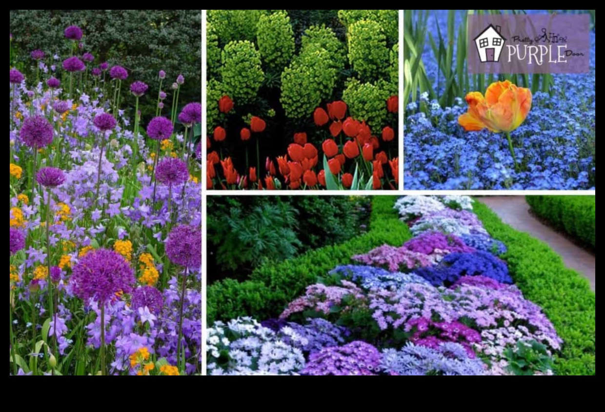 Nature's Palette: Garden Design Colors of Serenity