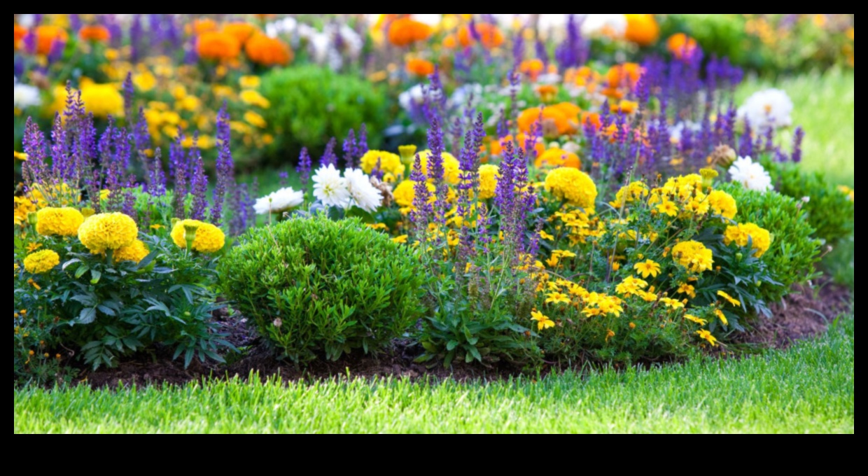 Βοτανικοί δεσμοί Πώς να μεγαλώσετε πιο δυνατά φυτά με το Companion Planting 3 Botanical Bonds: Secrets of Successful Companion Planting