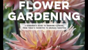 Floral Finesse: Mastering the Art of Horticulture