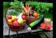 Garden Bounty: Αποτυπώνοντας την ουσία της φρεσκάδας στους χυμούς λαχανικών σας