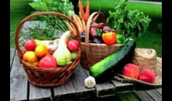Garden Bounty: Αποτυπώνοντας την ουσία της φρεσκάδας στους χυμούς λαχανικών σας