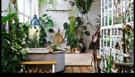 Green Living Inside: Φροντίζοντας το σπίτι σας με την κηπουρική