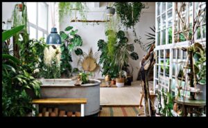 Green Living Inside: Φροντίζοντας το σπίτι σας με την κηπουρική