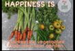 Harvest of Happiness: Essential Steps for Garden Success