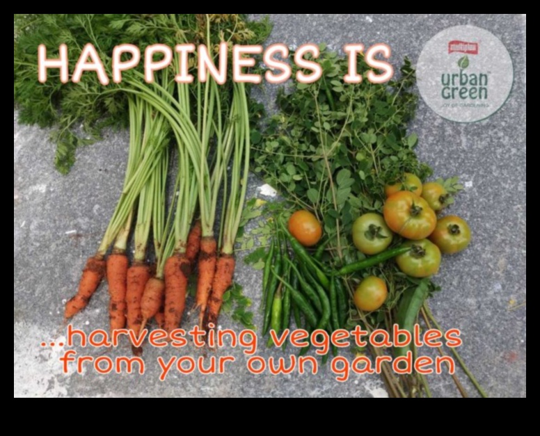 Harvest of Happiness: Essential Steps for Garden Success