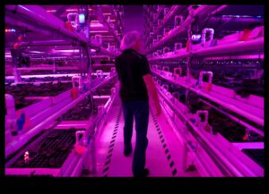 Infinite Harvest: Greenhouse Bounty Beckons