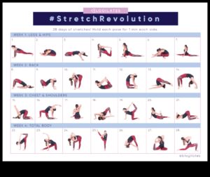 Limber Life Blueprint: Designing Your Stretching Routine