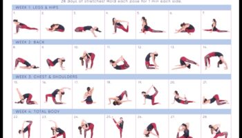 Limber Life Blueprint: Designing Your Stretching Routine