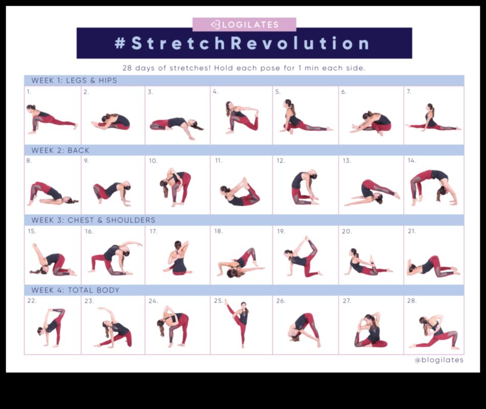 Limber Life Blueprint: Designing Your Stretching Routine