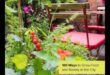 Micro Gardens, Macro Joy: Urban Gardening Marvels