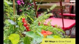 Micro Gardens, Macro Joy: Urban Gardening Marvels