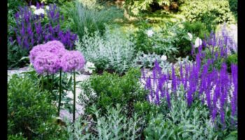 Nature's Palette: Garden Design Colors of Serenity