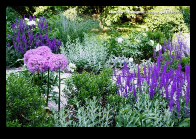 Nature's Palette: Garden Design Colors of Serenity