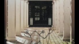 Rooted Wisdom: Growing Brilliance in Garden Workshops