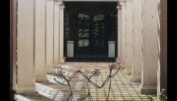 Rooted Wisdom: Growing Brilliance in Garden Workshops