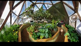 Αναπνεύστε τη ζωή στο χώρο σας: Η εμπειρία του θερμοκηπίου