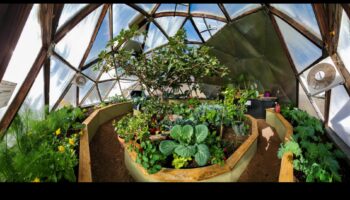 Αναπνεύστε τη ζωή στο χώρο σας: Η εμπειρία του θερμοκηπίου