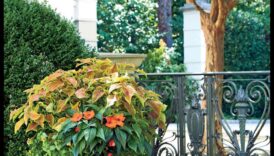 Γοητεία σε κάθε πέταλο: Ανυψώστε τον κήπο σας με καλλιτεχνικό ταλέντο