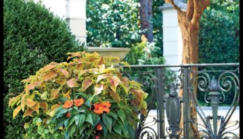 Γοητεία σε κάθε πέταλο: Ανυψώστε τον κήπο σας με καλλιτεχνικό ταλέντο