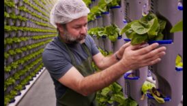 Indoor Eden: Growing Your Garden Beyond the Exterior Walls