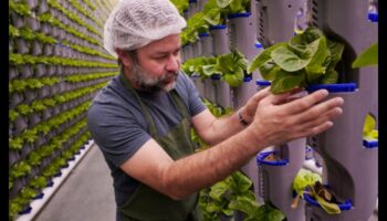 Indoor Eden: Growing Your Garden Beyond the Exterior Walls