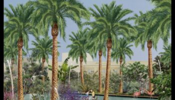 Αποκαλύφθηκε η Urban Oasis: Gardening Magic in the City