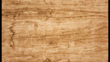 Από το δάσος στο σπίτι: Χειροτεχνία με φυσικά στοιχεία ξύλου