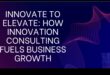 Innovate to Elevate: Strategies for Dynamic Business Consulting