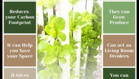 Ξύλινες επιτοίχιες ζαρντινιέρες DIY: Κατασκευάστε κάθετους κήπους με στυλ