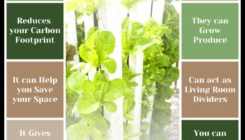 Ξύλινες επιτοίχιες ζαρντινιέρες DIY: Κατασκευάστε κάθετους κήπους με στυλ