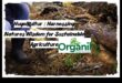 The Organic Way: Δημιουργία Κήπων με τη Σοφία της Φύσης