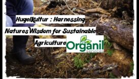 The Organic Way: Δημιουργία Κήπων με τη Σοφία της Φύσης